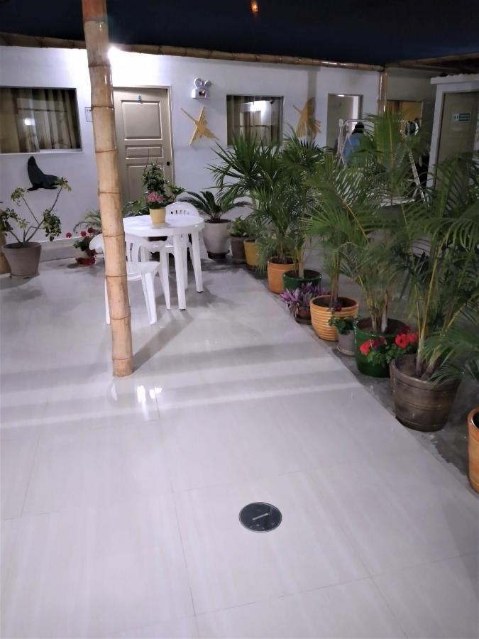 Icthus Paracas Dış mekan fotoğraf
